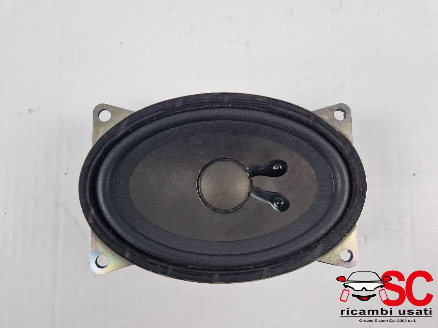 ALTOPARLANTE DR 3.0 Serie 7901090 (22>)
