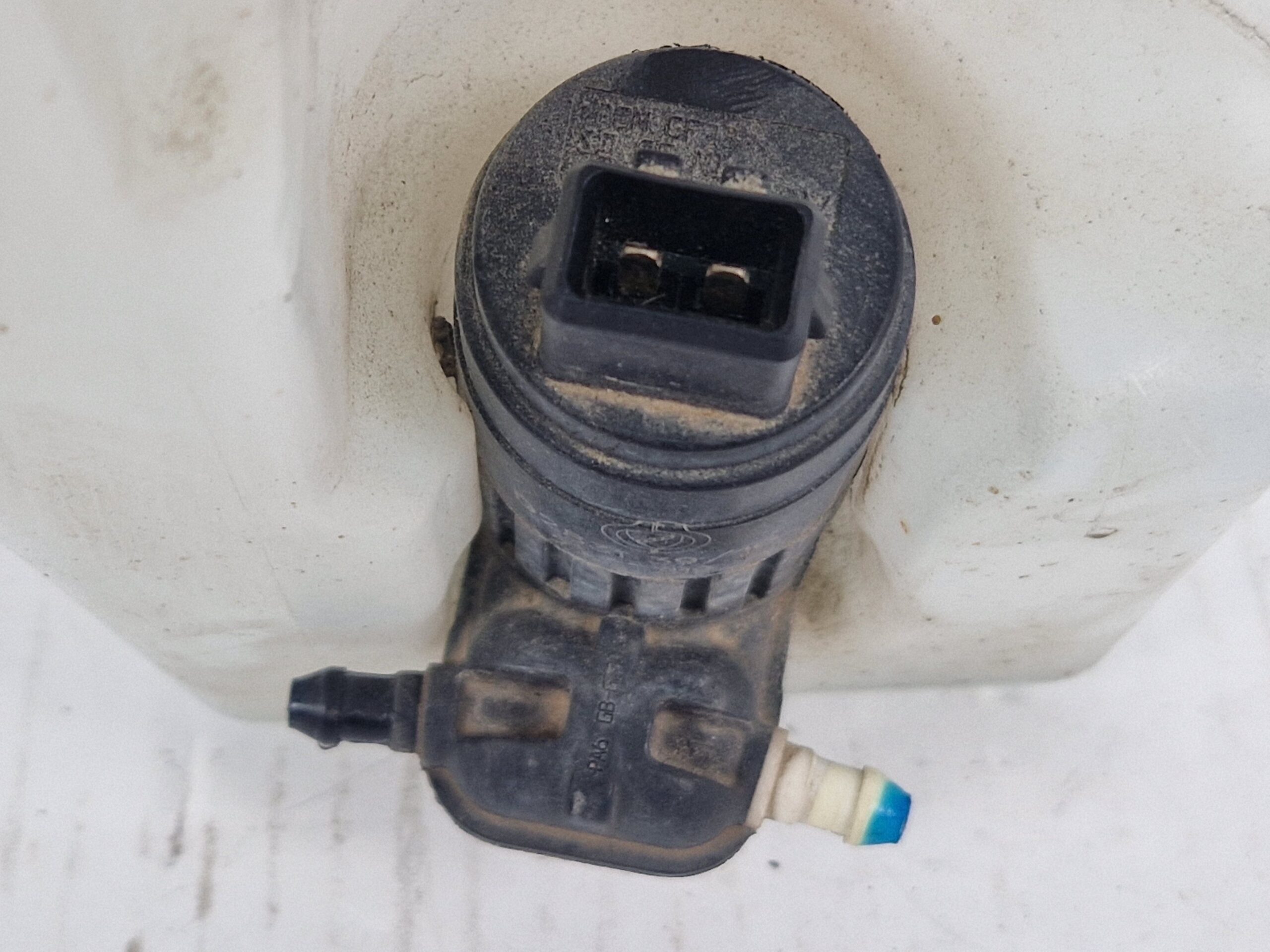 51930030 VASCHETTA TERGI ANT FIAT Panda 3&deg; Serie Diesel 1.3