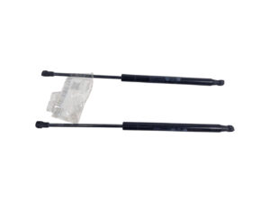 PISTONCINI COFANO POST. FIAT Panda 3° Serie 51841634 (12>)
